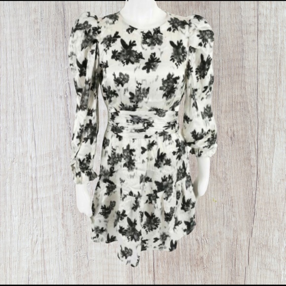 NWT Zara Mini Dress - Picture 3 of 6